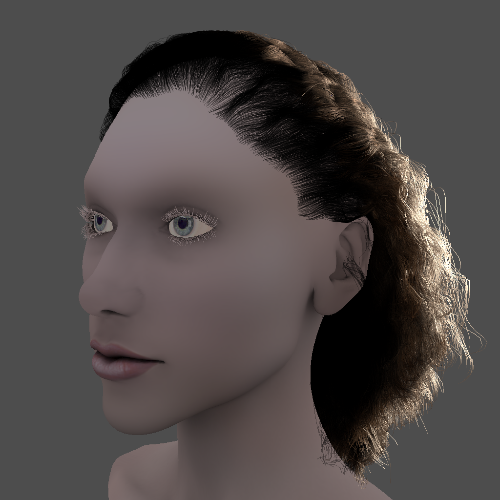 Hair Rendering